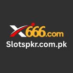 x666 game